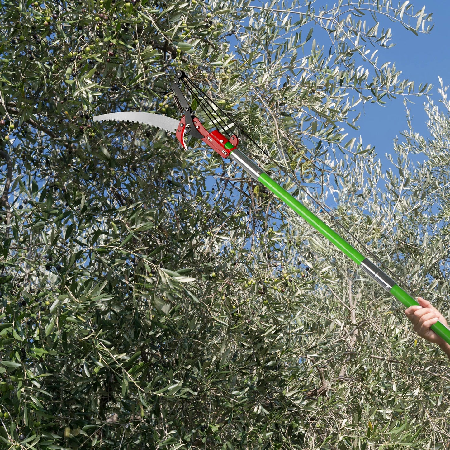 24ft Manual Pole Saw, Lightweight Tree Trimmers Long Handle Pruner Set, Sharp Steel Blade and Scissors Pole Saw for Trimming