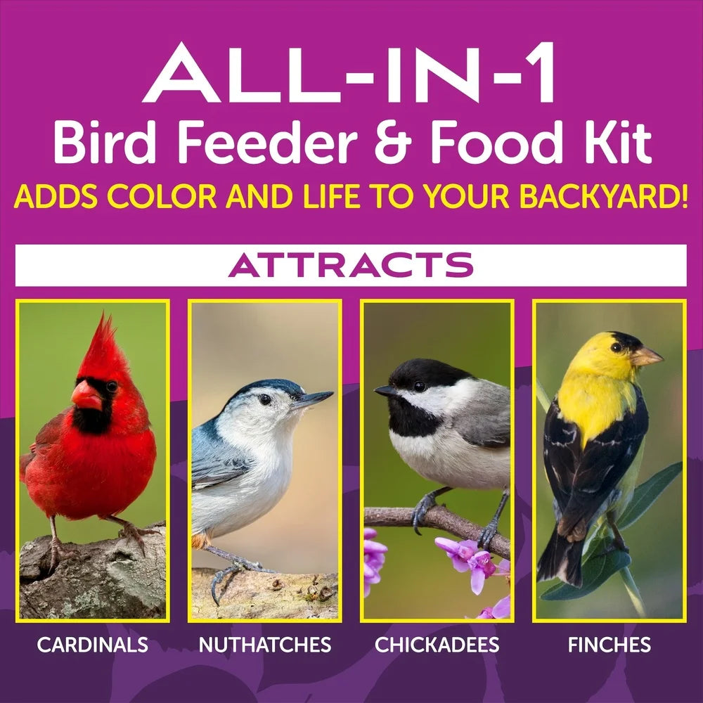 Eco-Friendly 7lb Capacity Wild Bird Feeder and Fruit Nut Blend Feed Starter Kit Durable Design Outdoor Bird Feeding Station